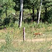 Review photo of Turpin Meadows Dispersed Campground by Kathleen D., August 11, 2020