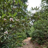 Review photo of Chilhowee Recreation Area by Manie D., August 11, 2020