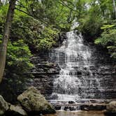 Review photo of Chilhowee Recreation Area by Manie D., August 11, 2020