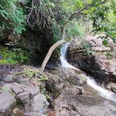 Review photo of Chilhowee Recreation Area by Manie D., August 11, 2020