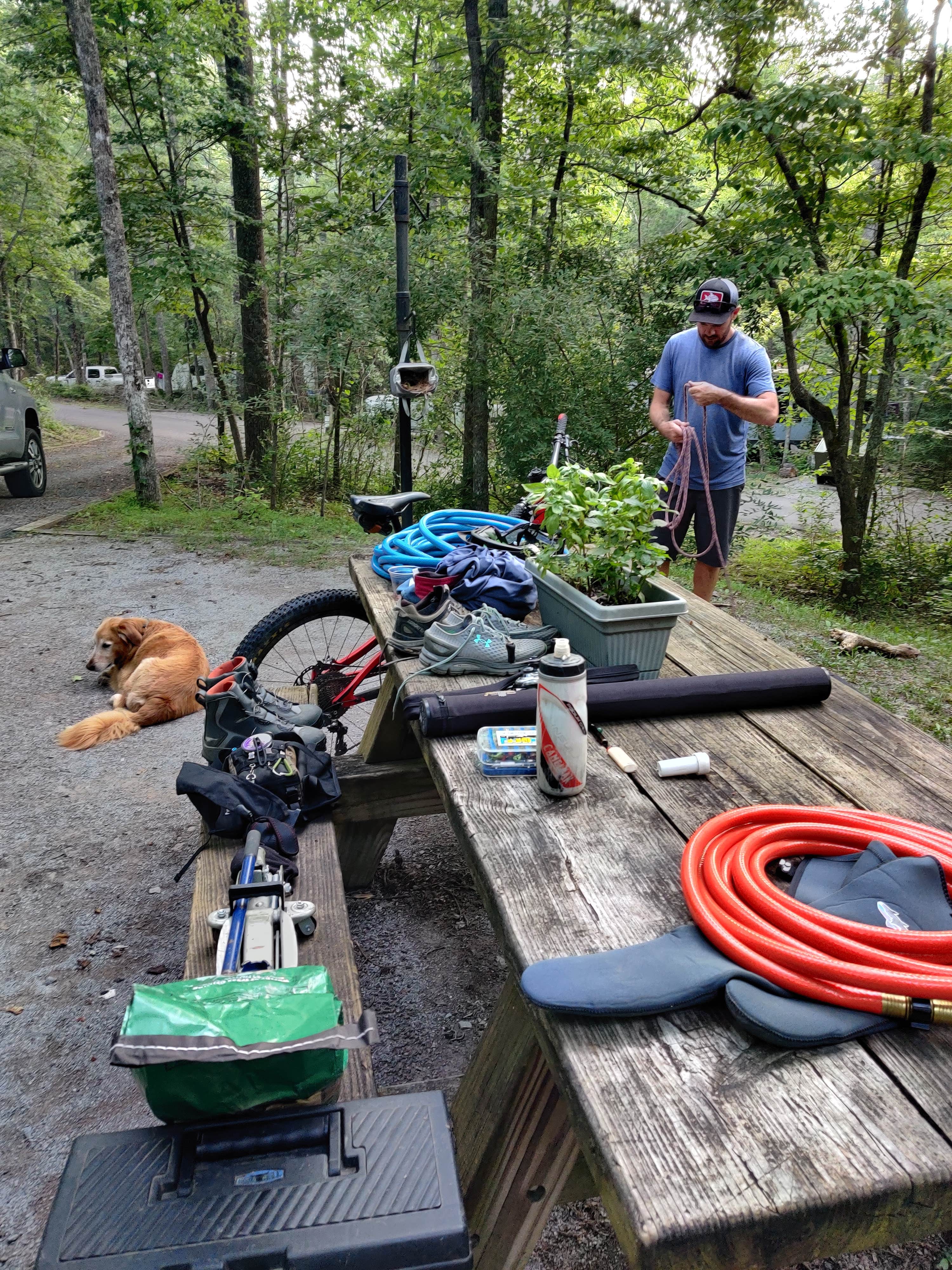 Manie D.'s photo of camping with pets at Chilhowee Recreation Area near Apison, TN