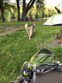 Rosa G.'s photo of camping with pets at Castle Rock State Park Campground near Rochelle, IL