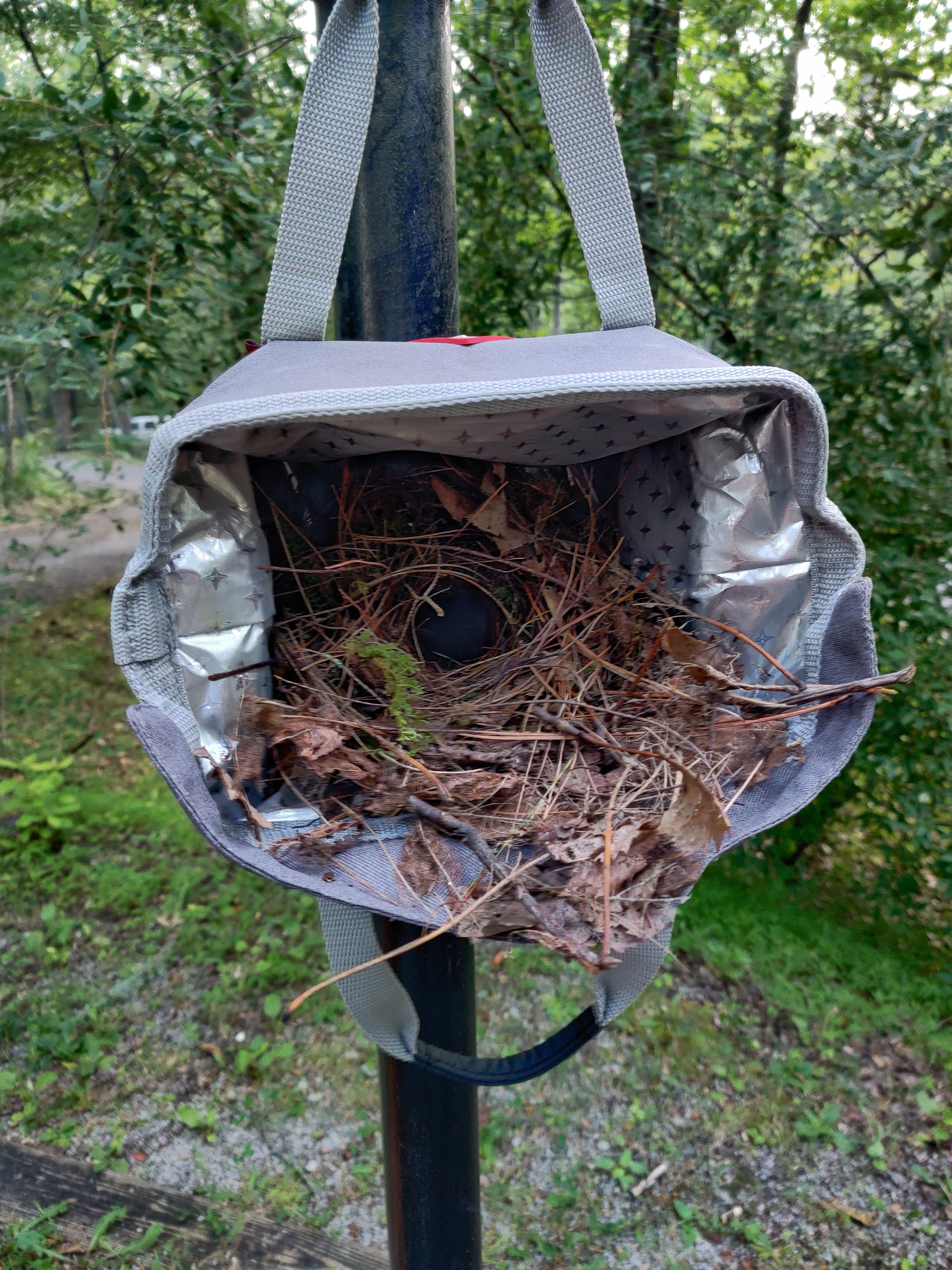 Hung our little cooler up to dry while we left, and a bird made a home out of it!