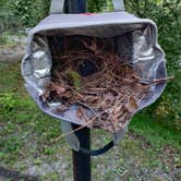 Review photo of Chilhowee Recreation Area by Manie D., August 11, 2020