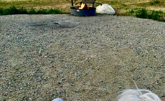 Rita G.'s photo of camping with pets at Cooney State Park Campground near Frannie, WY