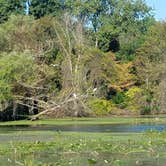 Review photo of Bay City State Park Campground by Jennifer H., August 11, 2020