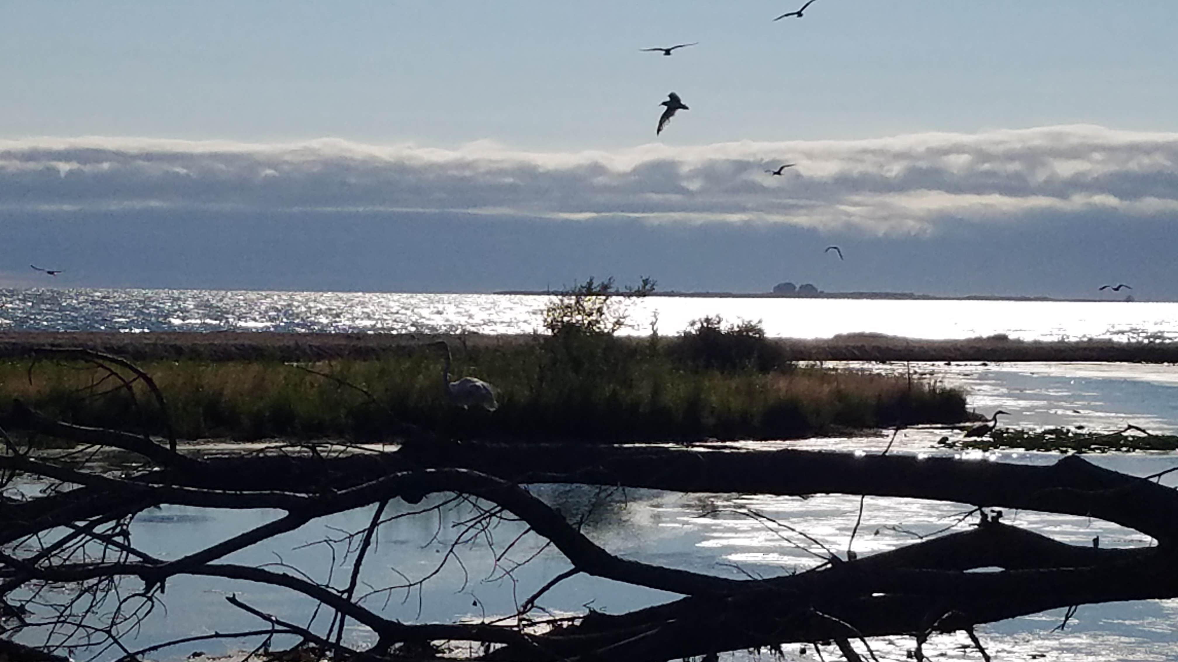 Bay City State Park Campground