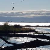 Review photo of Bay City State Park Campground by Jennifer H., August 11, 2020