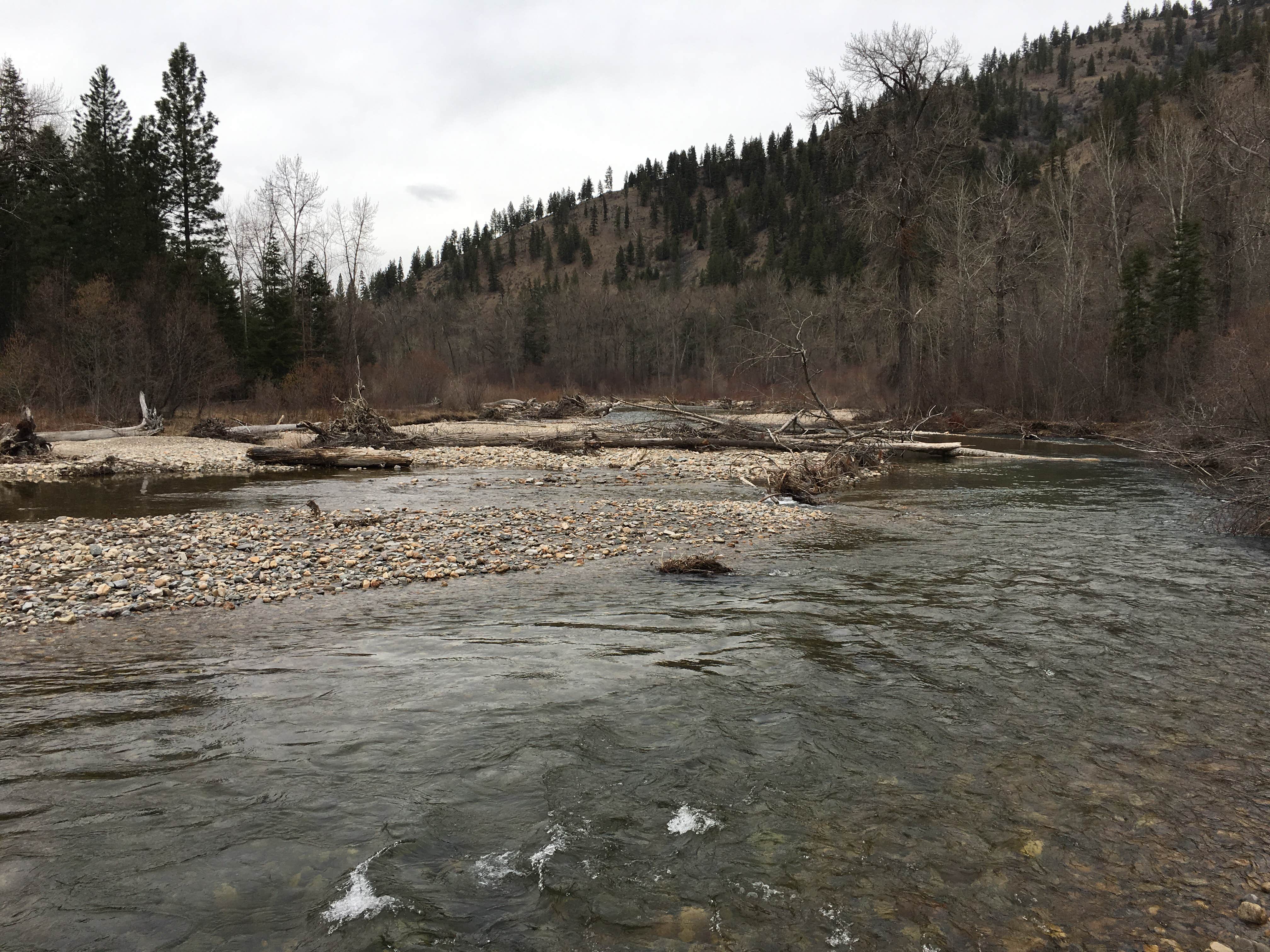 Camper submitted image from Big Pine Campground - 3