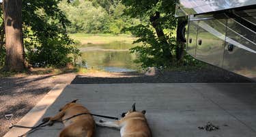 Yogi Bears Jellystone Park Camp-Resort at Lazy River