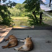 Review photo of Jellystone Park Lazy River by David A., August 11, 2020