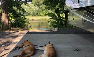 David A.'s photo of camping with pets at Jellystone Park Gardiner near Arden, NY