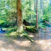 Review photo of Tinkham Campground by Alisha O., August 11, 2020