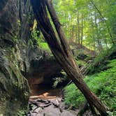 Review photo of Turkey Run State Park Campground — Turkey Run State Park by Ash B., August 11, 2020