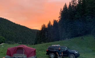 Gene S.'s photo of camping with pets at Bluff Springs Dispersed Camping near Cloudcroft, NM