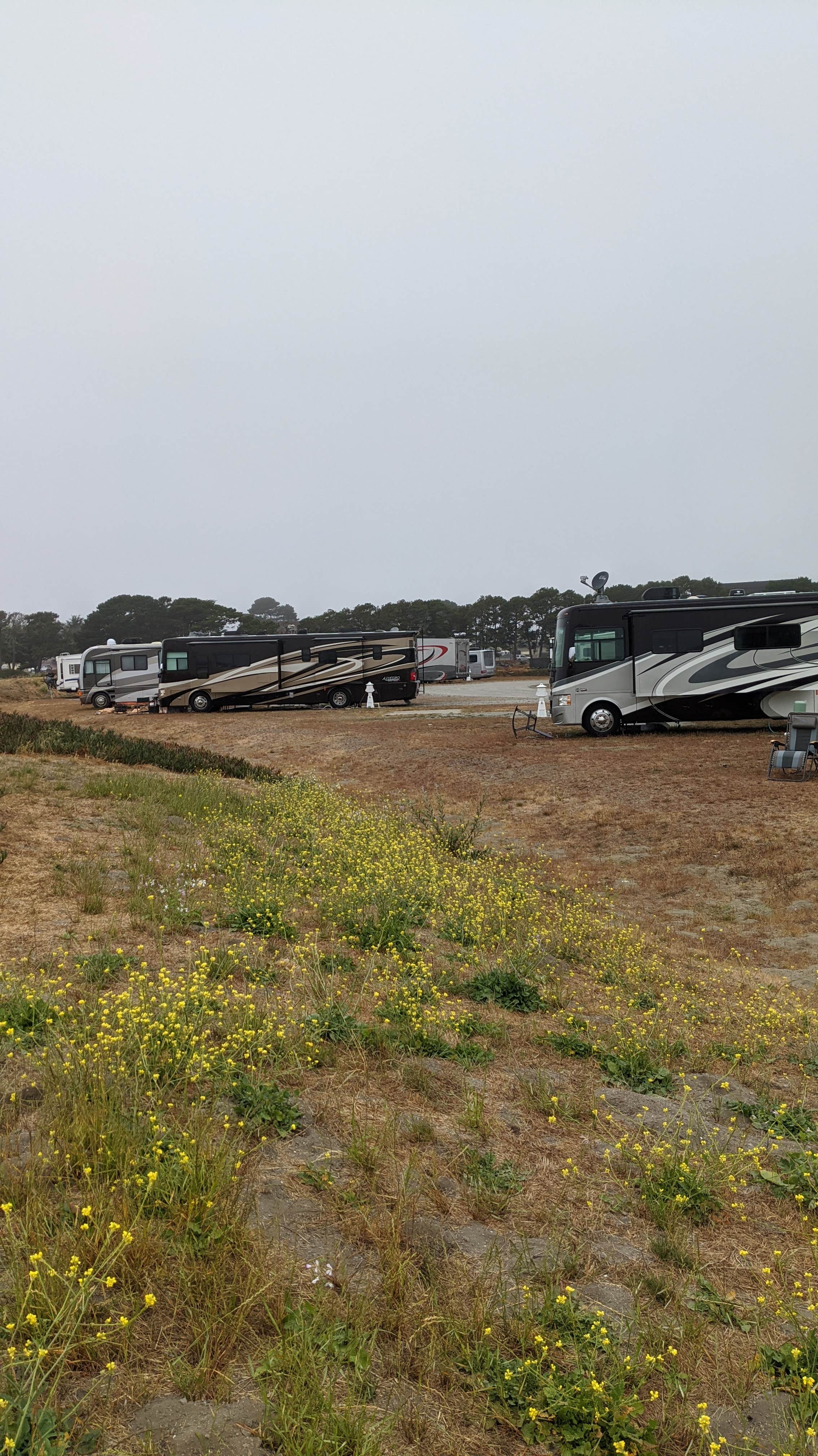 Emily L.'s photo of rv camping at Lighthouse Cove RV Park near Redwood National Park
