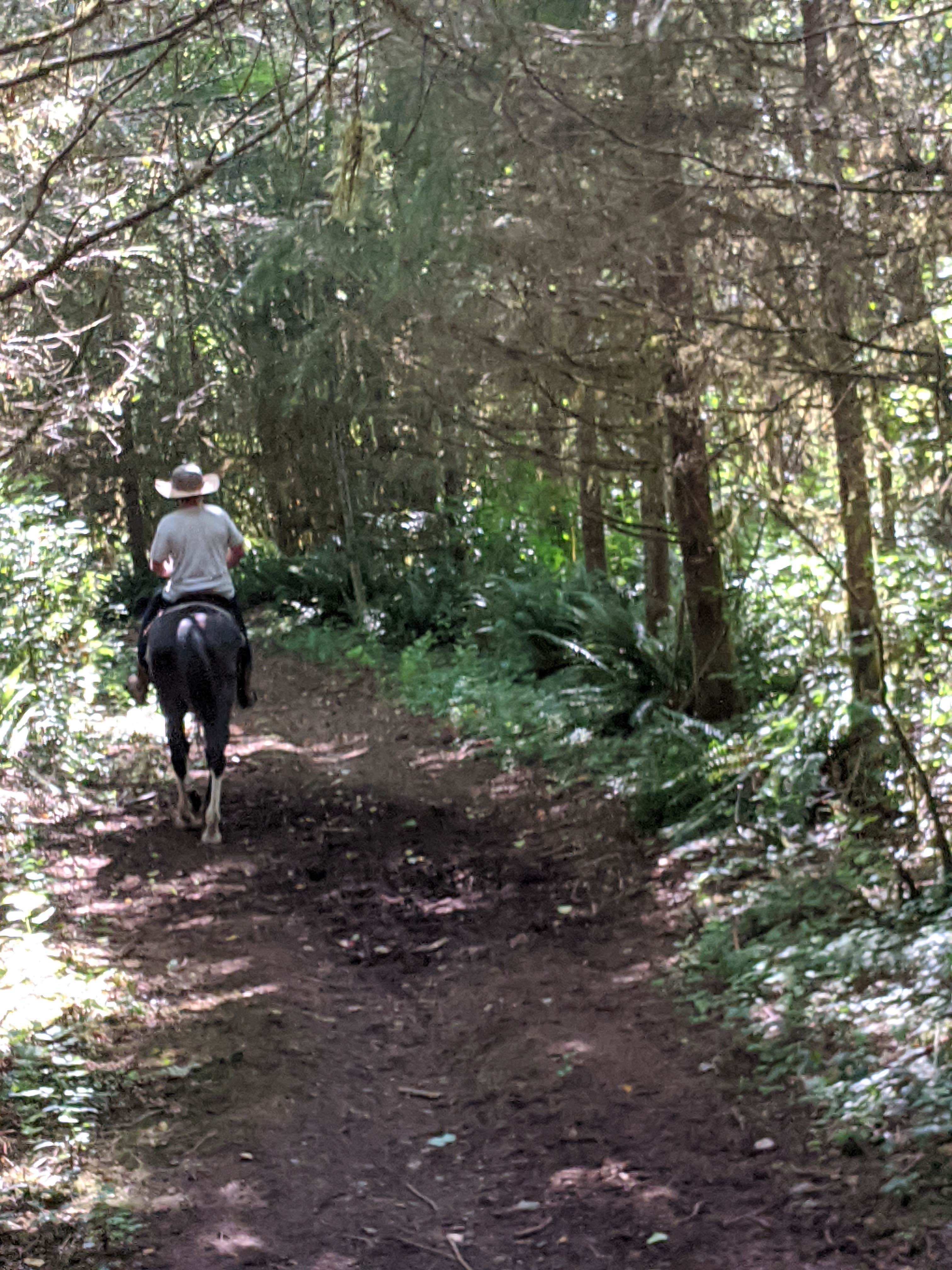 Elise M.'s photo of camping with a horse at Harry Osborne State Forest - TEMPORARILY CLOSED 2023 near Everett, WA