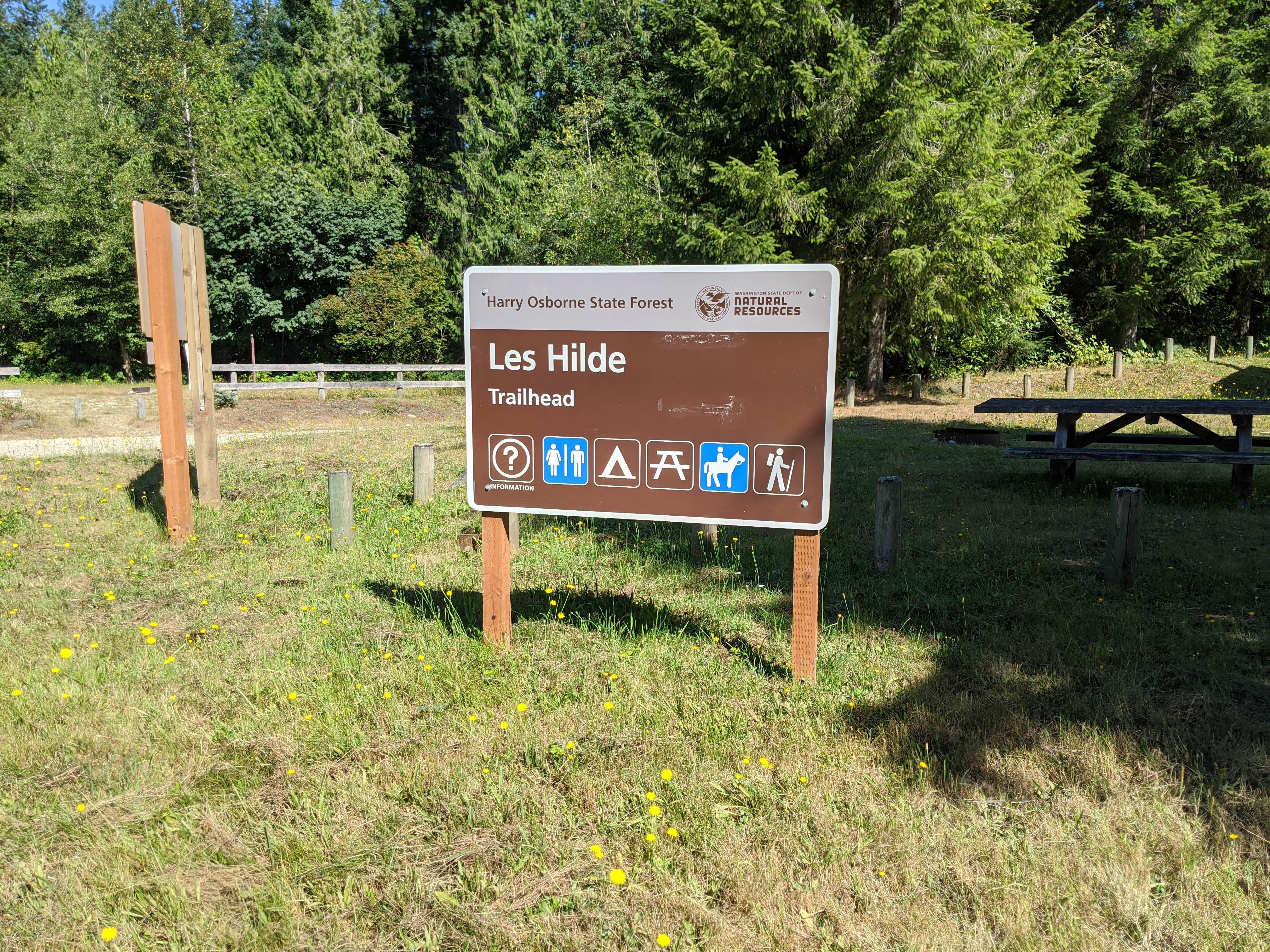 Camper submitted image from Harry Osborne State Forest - TEMPORARILY CLOSED 2023 - 2