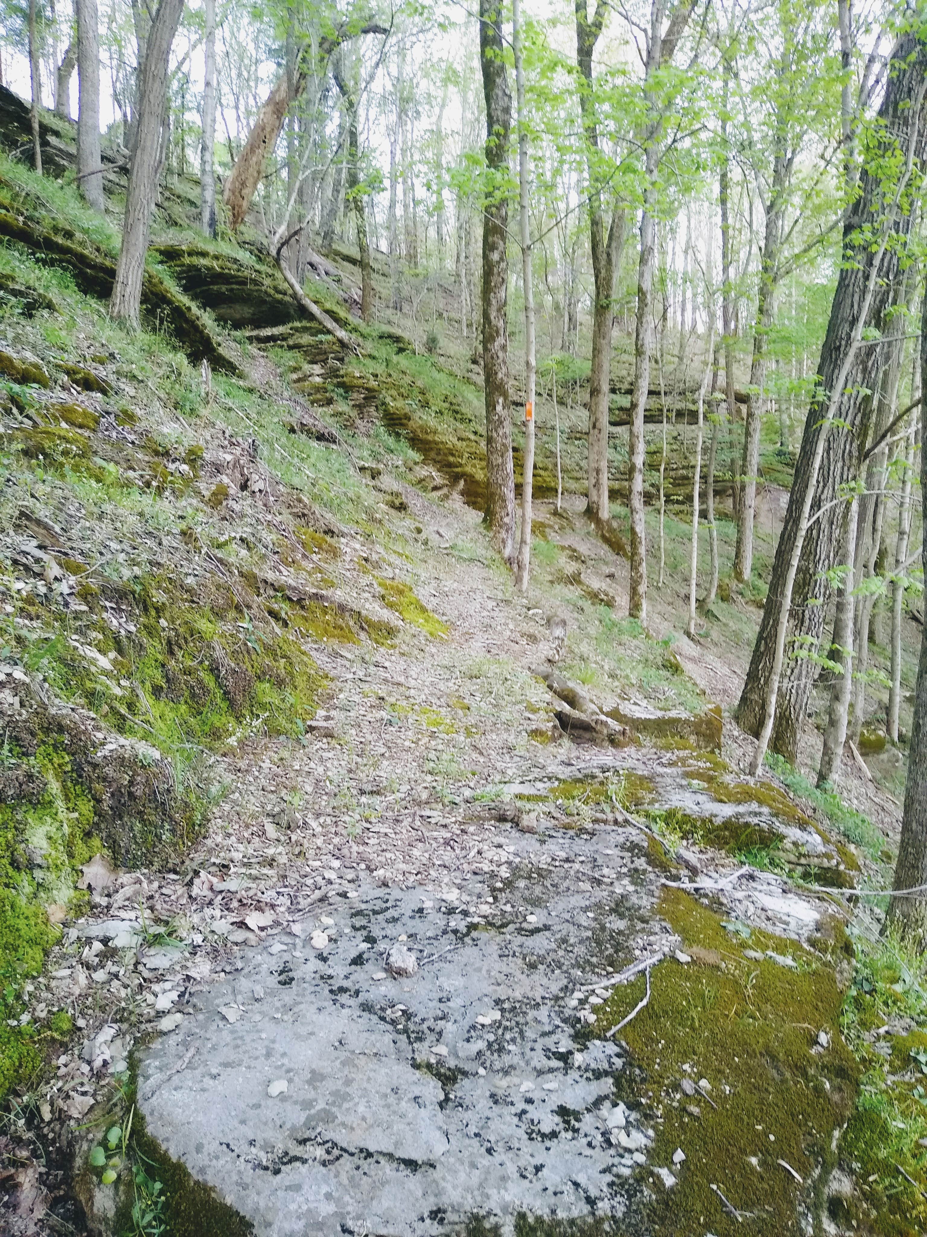 Camper-submitted photo at Southport Saltpeter Cave near Williamsport, TN