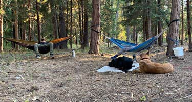 Lower Rush Creek Campground