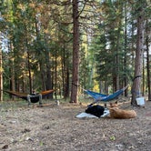 Review photo of Lower Rush Creek Campground by Alex P., August 11, 2020