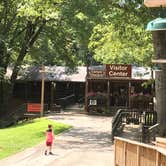 Review photo of Unicoi State Park & Lodge by Annell N., August 11, 2020
