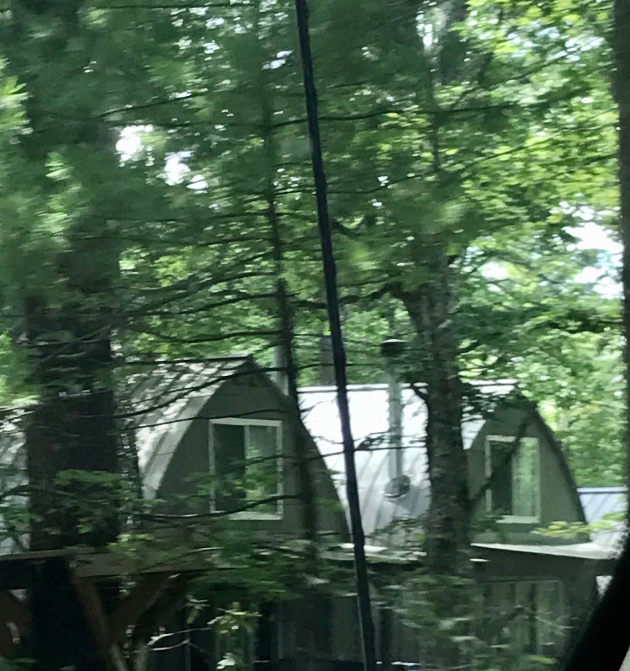 Annell N.'s photo of glamping accommodations at Unicoi State Park & Lodge near Rabun Gap, GA