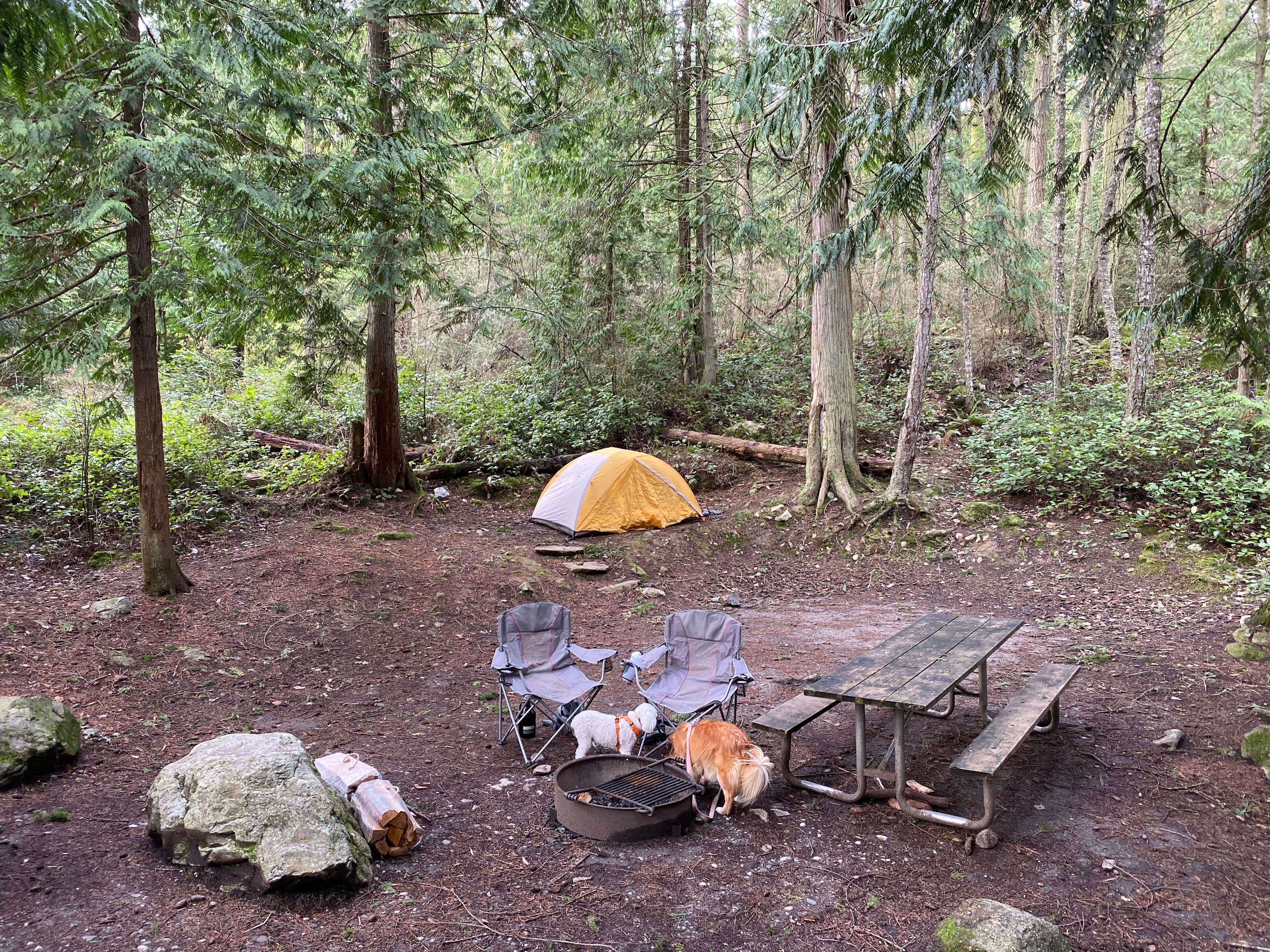 Brooke H.'s photo at Deception Pass State Park Campground near Oak Harbor, WA