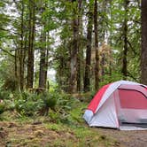 Review photo of Hoh Rain Forest - Olympic National Park by Brooke H., August 11, 2020