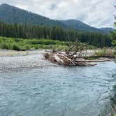 Review photo of Hoh Rain Forest - Olympic National Park by Brooke H., August 11, 2020