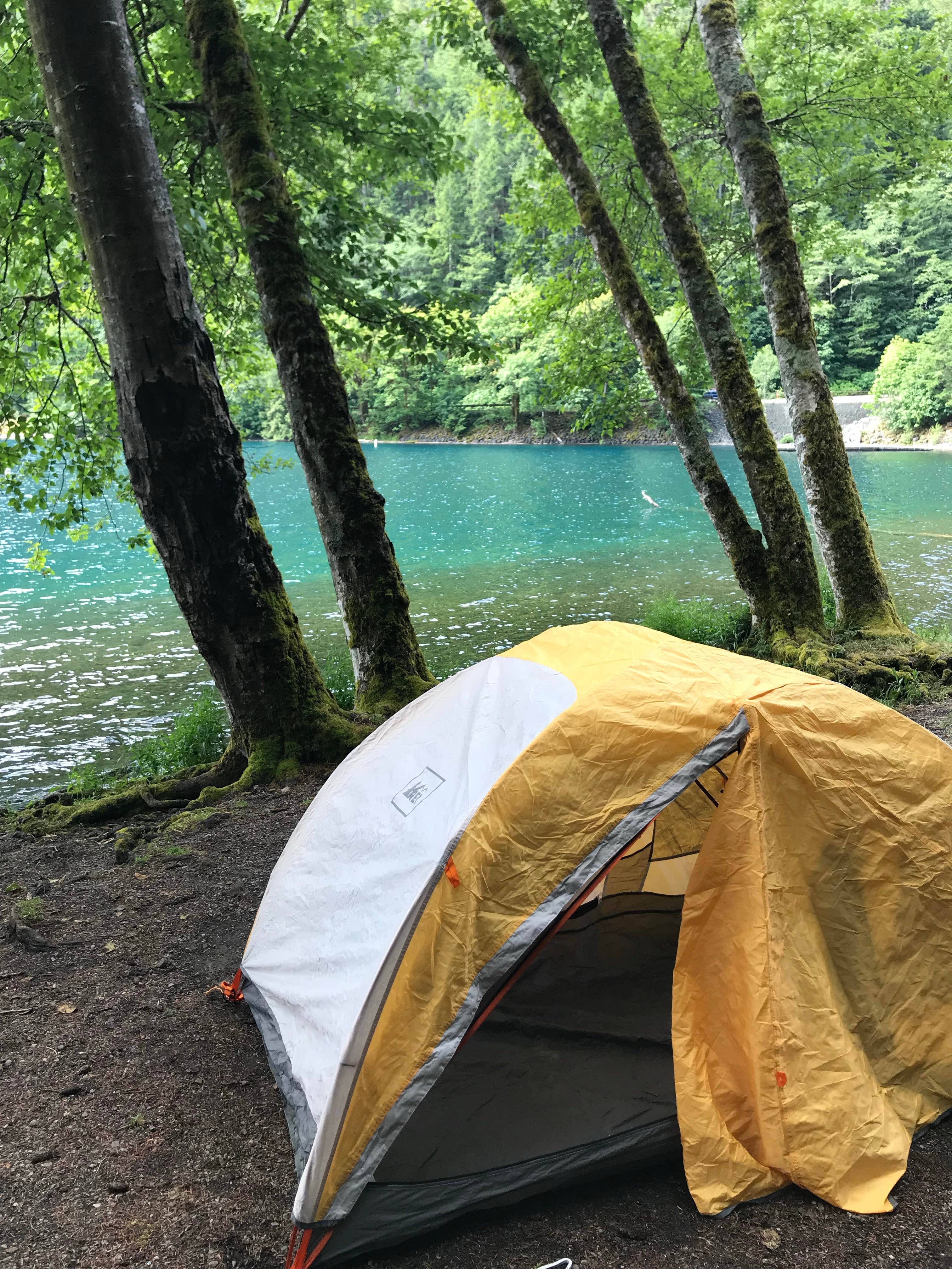 Brooke H.'s photo at Fairholme Campground — Olympic National Park near Sol Duc Hot Springs, WA