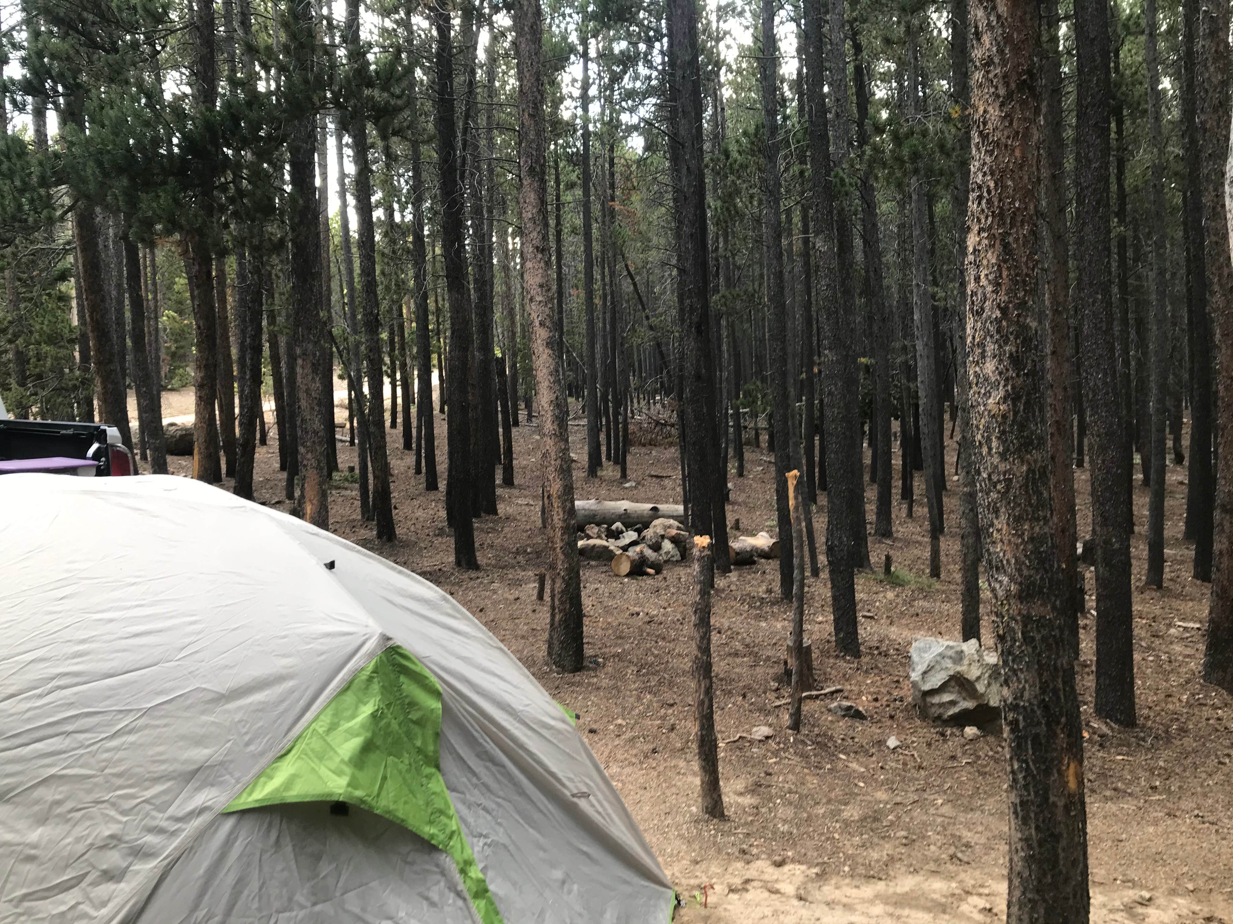 Anthony P.'s photo at Beaver Park Reservoir - Dispersed near Jamestown, CO