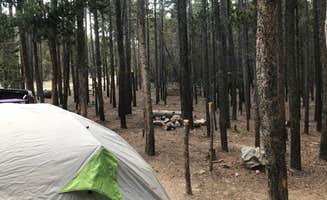 Anthony P.'s photo of a dispersed camping area at Beaver Park Reservoir - Dispersed near Lyons, CO