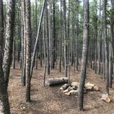 Review photo of Beaver Park Reservoir - Dispersed by Anthony P., August 11, 2020