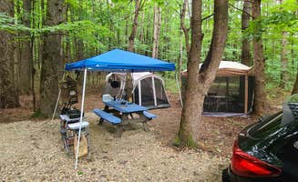 Tim S.'s photo at October Mountain State Forest Campground near West Stockbridge, MA