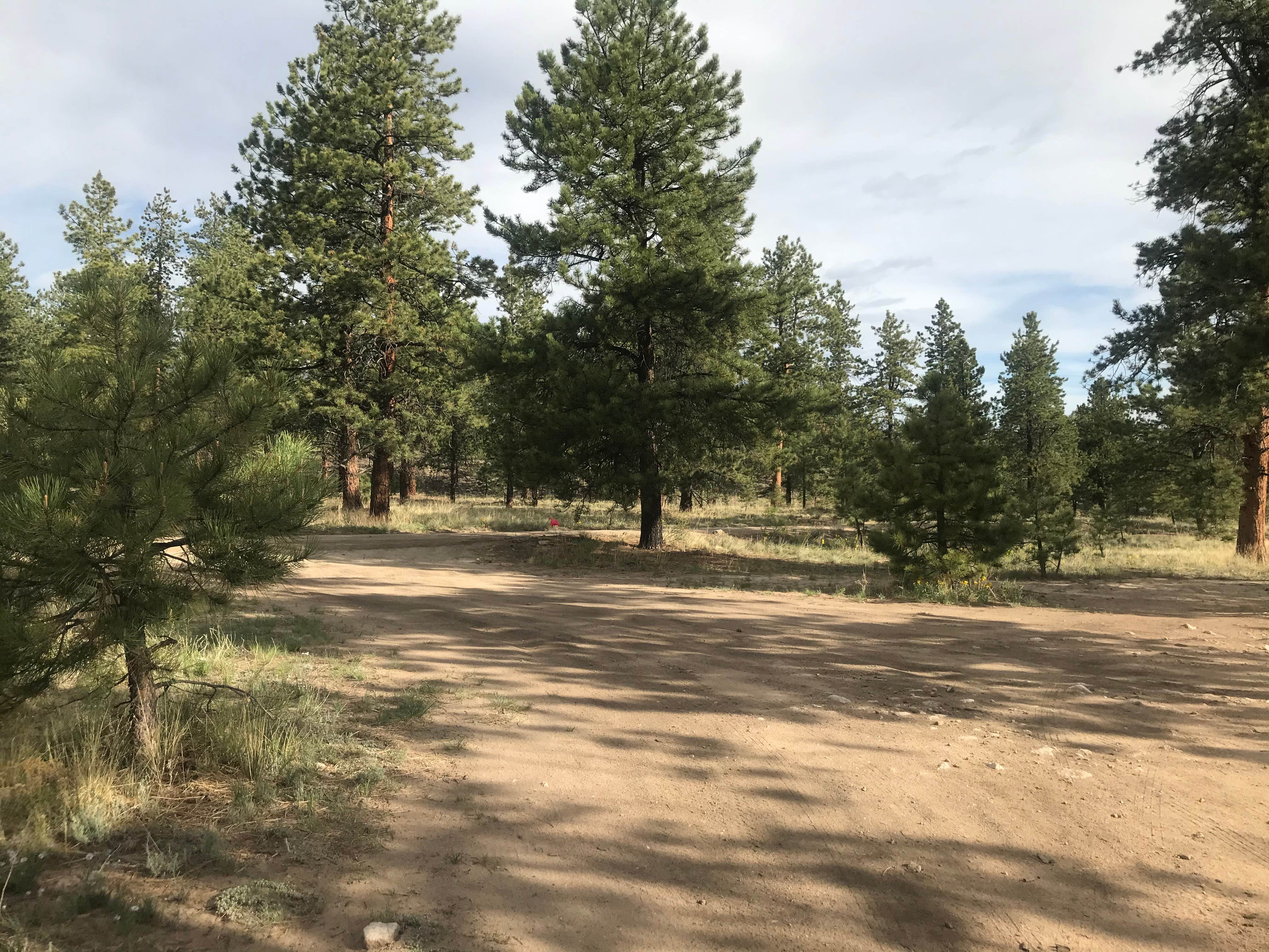 Camper-submitted photo at Browns Creek near Poncha Springs, CO