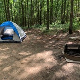 Review photo of Dunewood Campground — Indiana Dunes National Park by Meghan H., August 11, 2020
