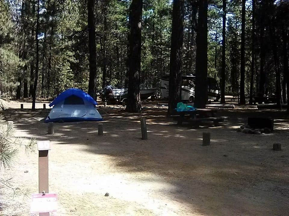 Diane W.'s photo of tent camping at North Wickiup Campground near Cloverdale, OR