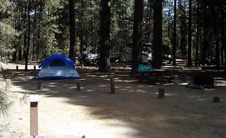Diane W.'s photo of tent camping at North Wickiup Campground in Oregon