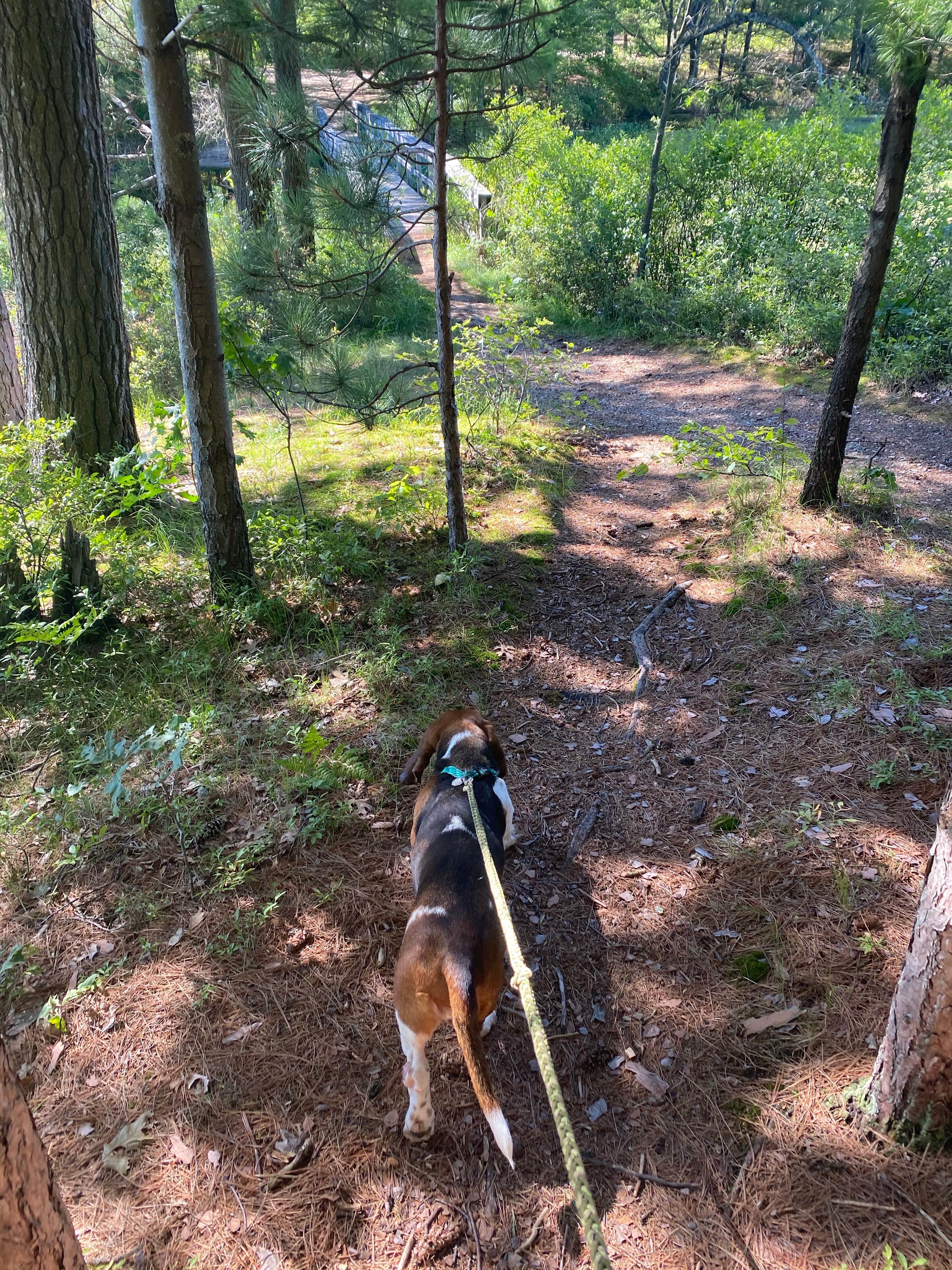 Camper-submitted photo at Shelley Lake Campground near Hesperia, MI