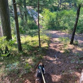 Review photo of Shelley Lake Campground by Brian N., August 11, 2020