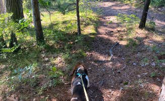Brian N.'s photo of camping with pets at Shelley Lake Campground near White Cloud, MI