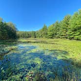 Review photo of Shelley Lake Campground by Brian N., August 11, 2020