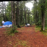Review photo of Kingston Lake State Forest by Lila D., August 11, 2020
