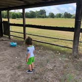 Review photo of Llamaland Ranch by Taylor R., August 11, 2020