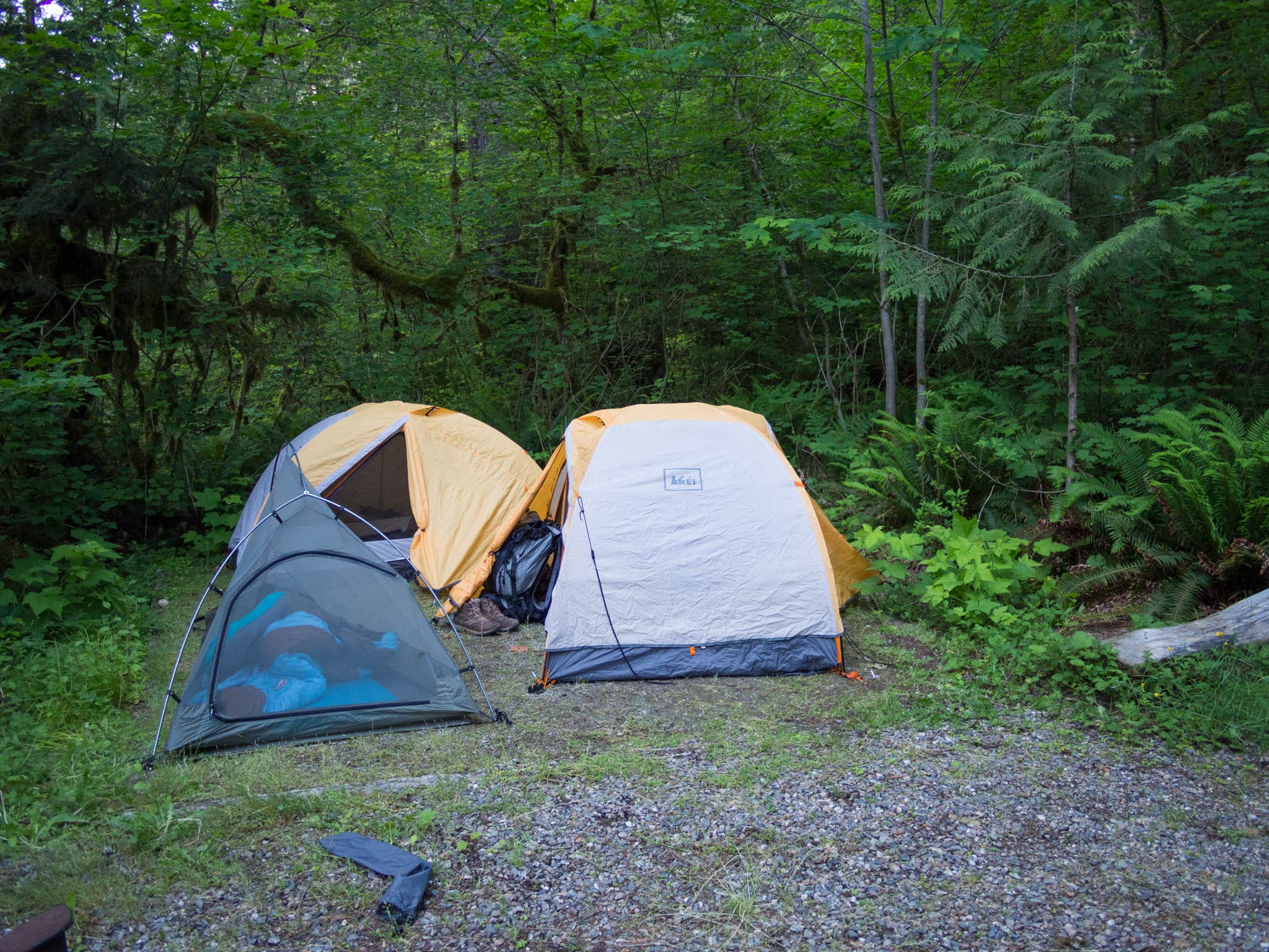 Graham C.'s photo at Bedal Campground near Mt. Baker-Snoqualmie National Forest