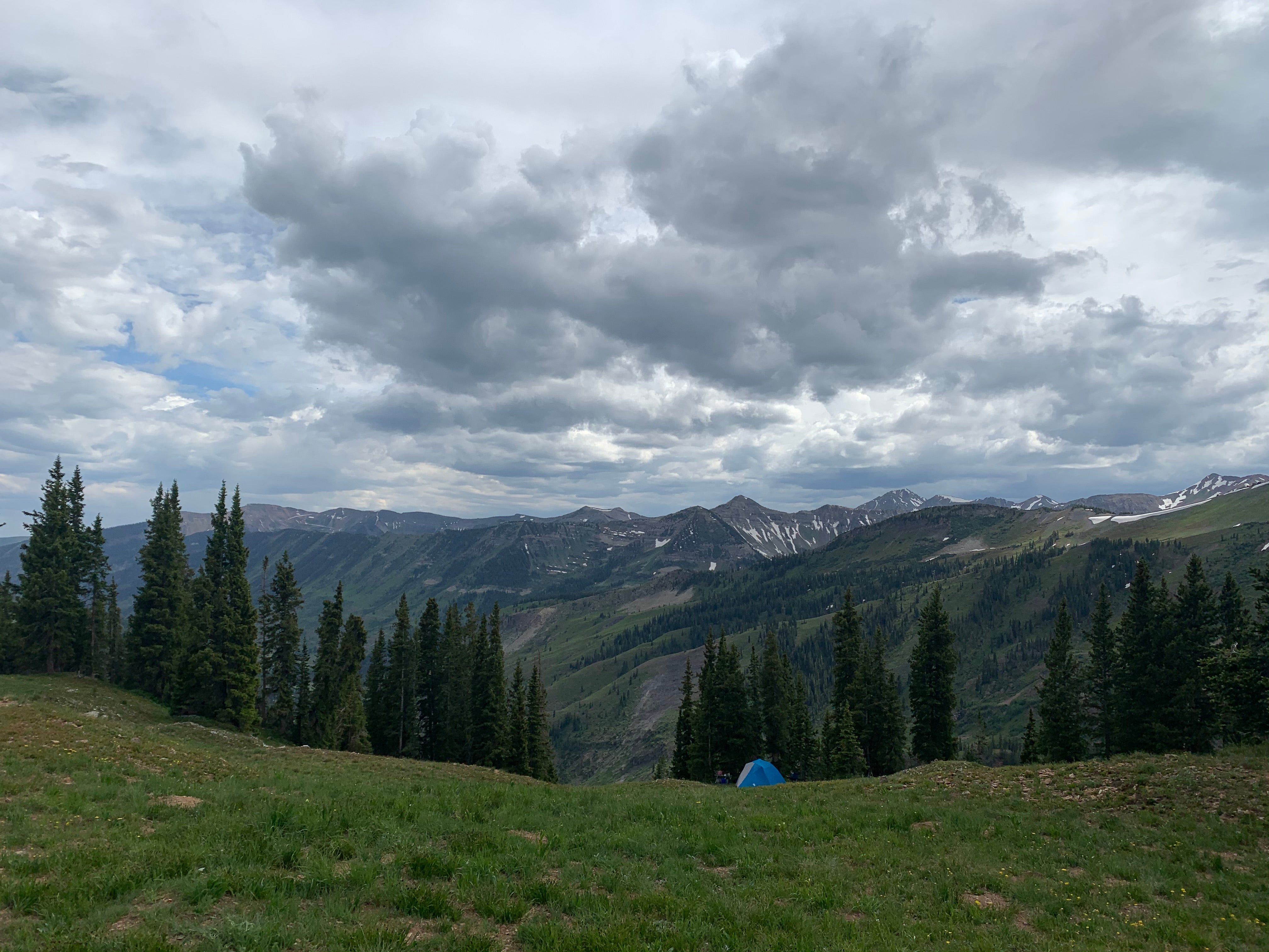 Camper submitted image from Gunnison National Forest Gothic Campground - 5