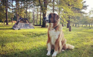 Casey M.'s photo at Twiltley Branch near Walnut Grove, MS