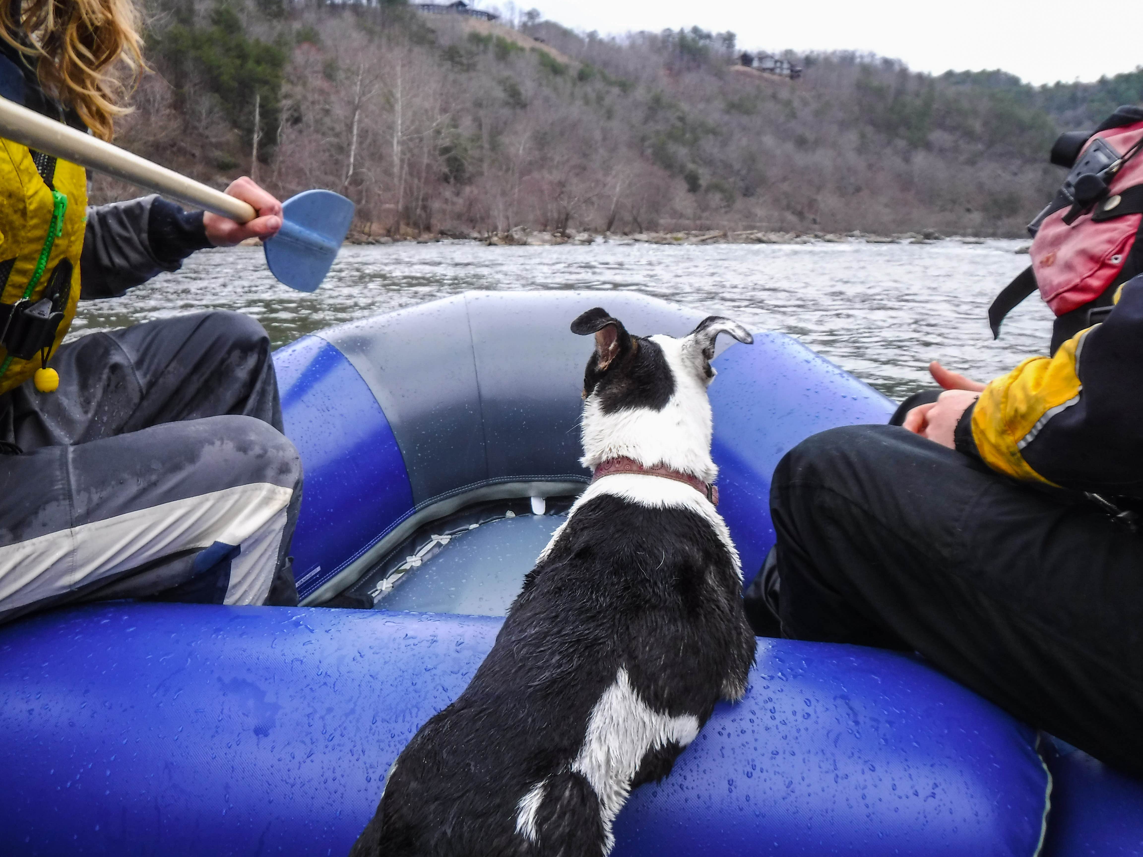 Camper-submitted photo at Hot Springs Campground near Greeneville, TN