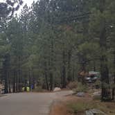 Review photo of New Shady Rest Campground by Berton M., August 11, 2020